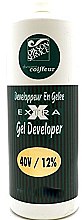 Kup Żelowy oksydant 12% - Dikson Service X-Extra Gel Developer 40 Volume