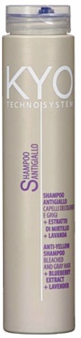 Szampon przeciw żółceniu włosów siwych i rozjaśnianych - Kyo Techno System Anti-Yellow Shampoo  — Zdjęcie N1
