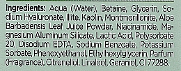 Wegańskie serum-booster z glinką zieloną do cery mieszanej i tłustej Detoks i normalizacja - Bielenda Botanical Clays — Zdjęcie N2