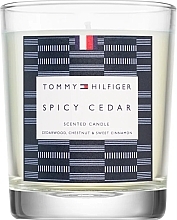 Kup Tommy Hilfiger Home Collection Spicy Cedar Scented Candle - Świeca zapachowa