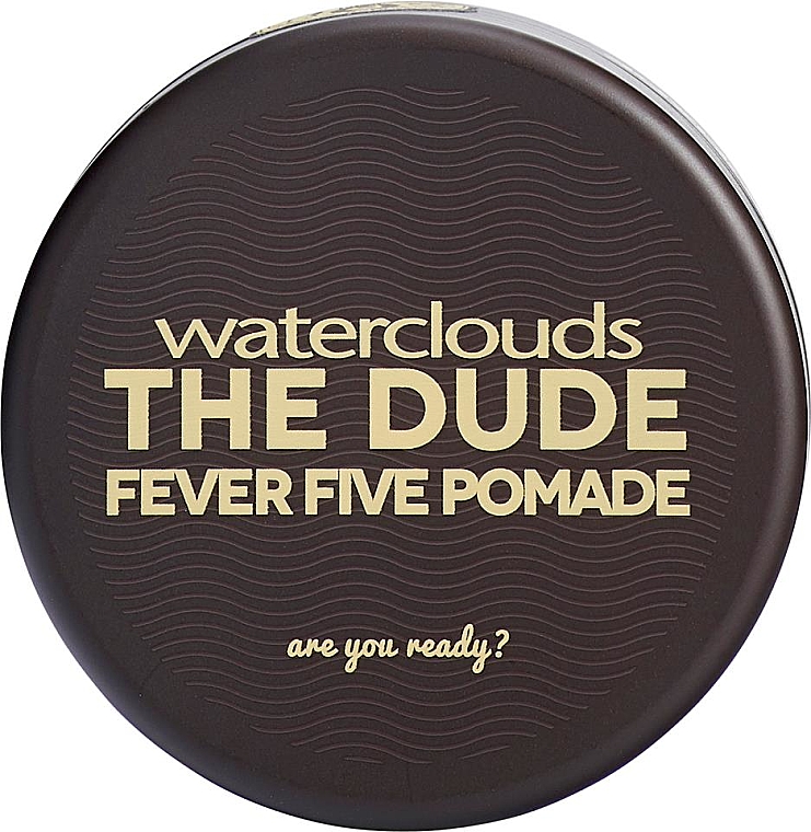 Pomada do stylizacji włosów - Waterclouds The Dude Fever Five Pomade — Zdjęcie N1