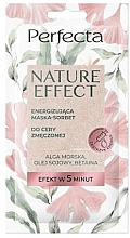 Kup Energizująca maska-sorbet do cery zmęczonej - Perfecta Nature Effect Mask