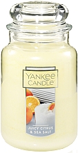 Świeca zapachowa - Yankee Candle Juicy Citrus & Sea Salt — Zdjęcie N1
