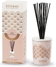 Kup Esteban Iris Cachemire Scented Decorative Bouquet - Dyfuzor zapachowy