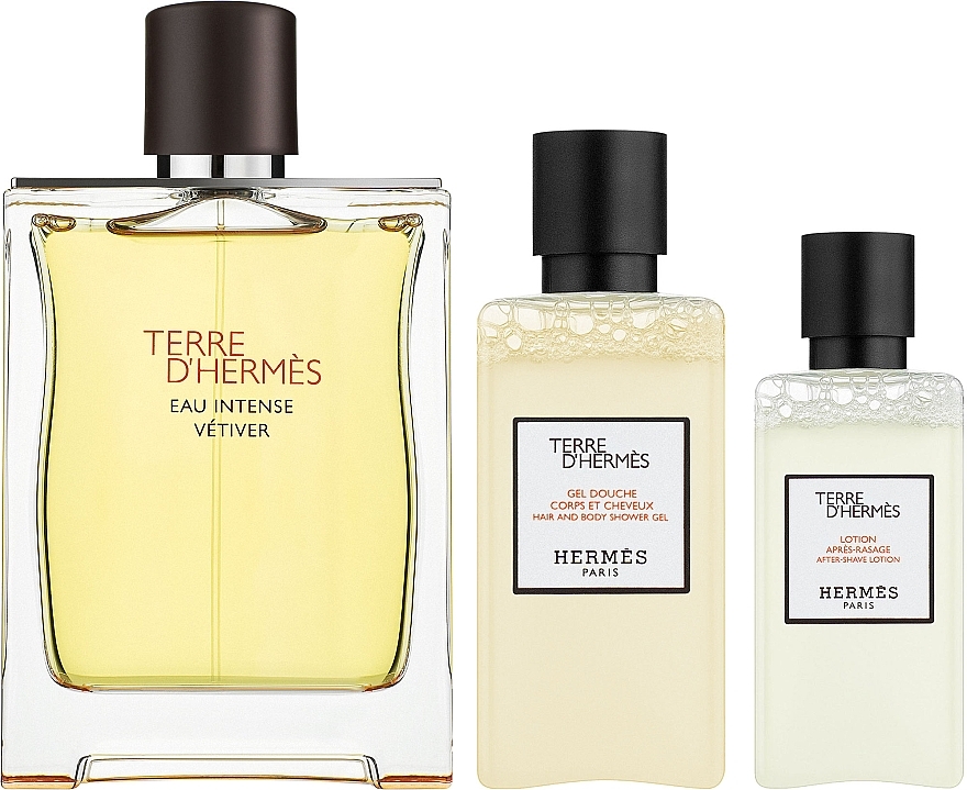 Terre D'Hermes Eau Intense Vetiver - Zestaw (edp 100 ml + ash 40 ml + sh/gel 80 ml) — Zdjęcie N1