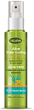 Kup Chłodzący spray z aloesem - Kalliston After Sun Aloe Sheer Cooling Spray