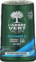 Dezodorant z prowitaminą B5 dla mężczyzn - L'Arbre Vert Deodorant — Zdjęcie N3