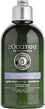 Kup Delikatna odżywka do włosów - L'Occitane Aromachologie Gentle & Balance Conditioner