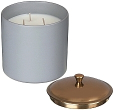 Świeca zapachowa Wetiweria i kardamon, 3 knoty - Paddywax Hygge Ceramic Candle Grey Vetiver & Cardamom — Zdjęcie N2