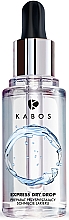 Kup Spray przyspieszający wysychanie lakieru do paznokci - Kabos Express Dry Drop