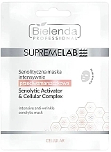 Intensywna maska przeciwzmarszczkowa - Bielenda Professional SupremeLab Cellular — Zdjęcie N1