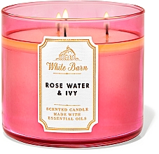 Bath & Body Works Rose Water & Ivy White Barn - Świeca zapachowa — Zdjęcie N1