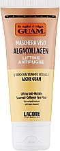 Kup Maseczka liftingująca do twarzy o działaniu przeciwstarzeniowym - Guam Algacollagen Lifting Anti-Wrinkle Seaweed-Collagen Face Mask