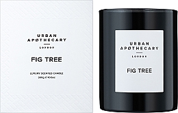 Urban Apothecary Fig Tree - Świeca zapachowa — Zdjęcie N2