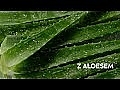 Nawilżający balsam do ciała z aloesem - NIVEA Aloe Hydration Body Lotion — Zdjęcie N1