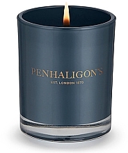 Świeca zapachowa w szkle - Penhaligon's Roanoke Ivy Candle — Zdjęcie N3