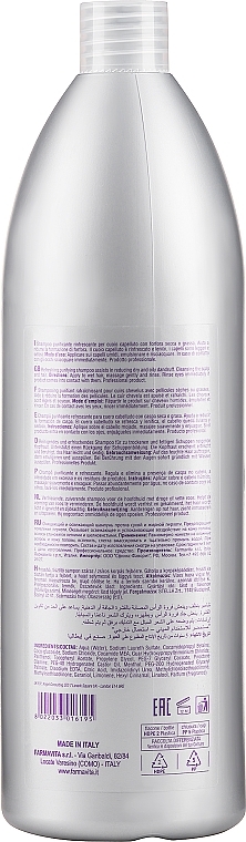 Szampon przeciwłupieżowy do włosów - Farmavita Amethyste Purify Dandruff Control Shampoo — Zdjęcie N3