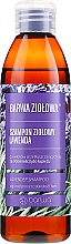 Kup Szampon ziołowy do włosów tłustych i skłonnych do łupieżu Lawenda - Barwa Herbal Lavender Shampoo