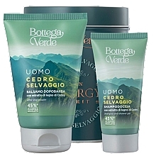 Bottega Verde Cedro Selvaggio - Zestaw (ash/balm/75ml + sh/gel/50ml + metal/box/1pc) — Zdjęcie N1