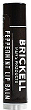 Kup Balsam do ust bez połysku - Brickell Men's Products No Shine Lip Balm