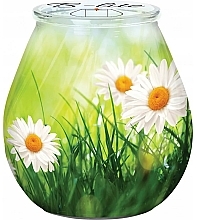 Kup Świeca dekoracyjna Letnia łąka - Bispol Candle B-Lite Summer Meadow