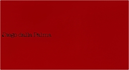 Etui na puder - Diego Dalla Palma Refill System Customizable Face Palette — Zdjęcie N2