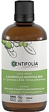 Kup Organiczny olej Calophylla z pierwszego tłoczenia - Centifolia Organic Virgin Oil 
