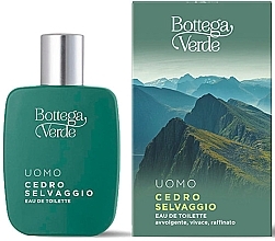 Bottega Verde Cedro Selvaggio - Woda toaletowa — Zdjęcie N1