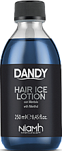 Kup Orzeźwiający balsam do wszystkich rodzajów włosów dla mężczyzn - Niamh Hairconcept Dandy Hair Ice Lotion