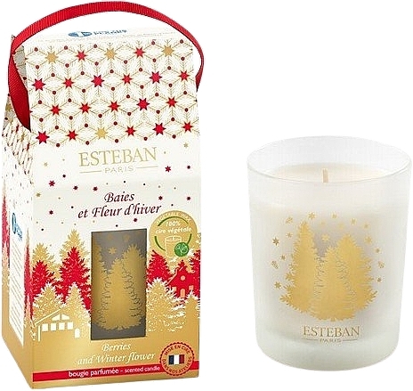 Esteban Berries And Winter Flower - Świeca perfumowana — Zdjęcie N1