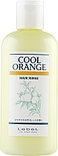 Kup Balsam do włosów Zimna Pomarańcza - Lebel Cool Orange Balm