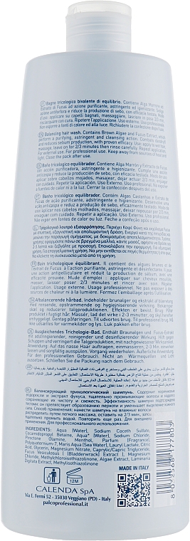 Oczyszczający szampon do włosów - Palco Professional Hyntegra Balancing Hair Wash — Zdjęcie N2