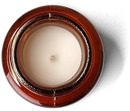 Świeca zapachowa w słoiku - Paddywax Apothecary Artisan Made Soywax Candle Sea Salt & Sage — Zdjęcie N2