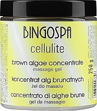 Koncentrat alg brunatnych z koenzymem Q10 do masażu spa - BingoSpa Concentrate Brown Algae For Spa Massage — Zdjęcie N1