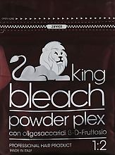 Puder do rozjaśniania włosów z oligosacharydami - Trendy Hair King Bleach Powder Plex — Zdjęcie N1