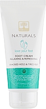 Kup Relaksujący i odświeżający krem do stóp z aloesem i miętą pieprzową - BIOselect Naturals Foot Cream