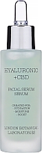 Kup Serum w sprayu do twarzy z olejkiem różanym - London Botanical Laboratories Hyaluronic Acid+CBD Moisture Surge Serum