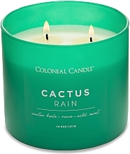 Kup Świeca zapachowa z trzema knotami - Colonial Candle Scented With Three Wicks Cactus Rain