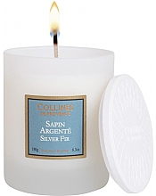 Kup PRZECENA! Świeca zapachowa Srebrny świerk - Collines De Provence Silver Fir Scented Candle *