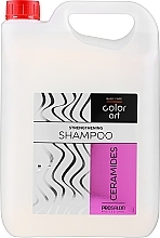 Wzmacniający szampon do włosów z ceramidami - Prosalon Basic Care Color Art Strengthening Shampoo Ceramides — Zdjęcie N3