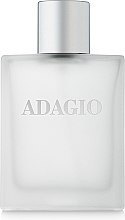 Kup Dilis Parfum La Vie Pour Homme Adagio - Woda toaletowa
