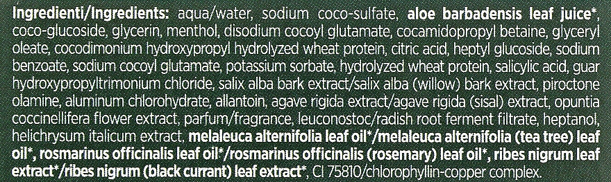 Szampon przeciwłupieżowy do włosów - BiosLine BioKap Anti-Dandruff Shampoo — Zdjęcie N4