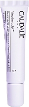 Kup Rewitalizujący balsam do ust - Caudalie Vinotherapist Vegan Repairing Lip Balm