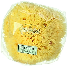 Naturalna gąbka morska, 12,7 cm - Hydrea London Honeycomb Sea Sponge Premium Quality — Zdjęcie N1