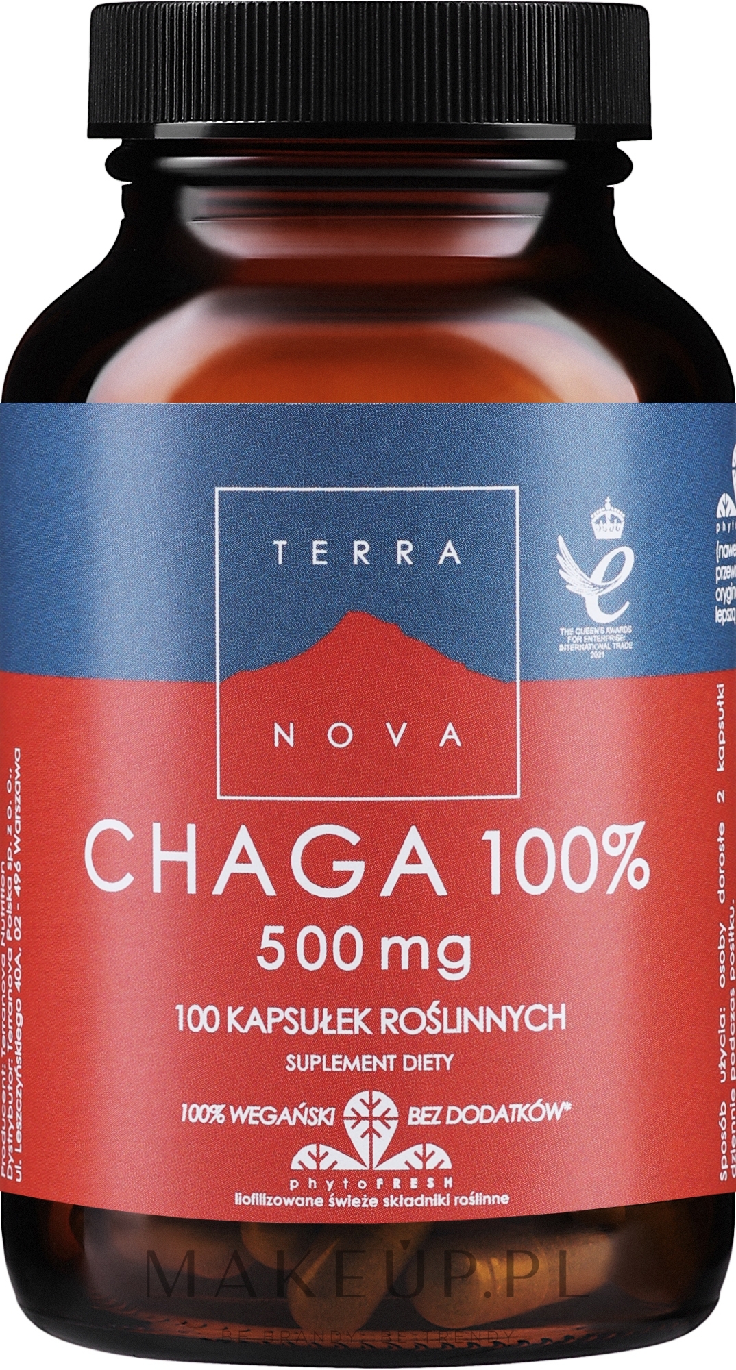 Suplement diety - Terranova Chaga 500 mg Complex — Zdjęcie 100 szt.