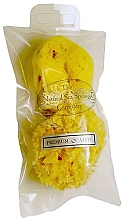 Zestaw gąbek kąpielowych, 7,62 cm - Hydrea London Baby Honeycomb & Fina Silk (sponge/2pcs) — Zdjęcie N1