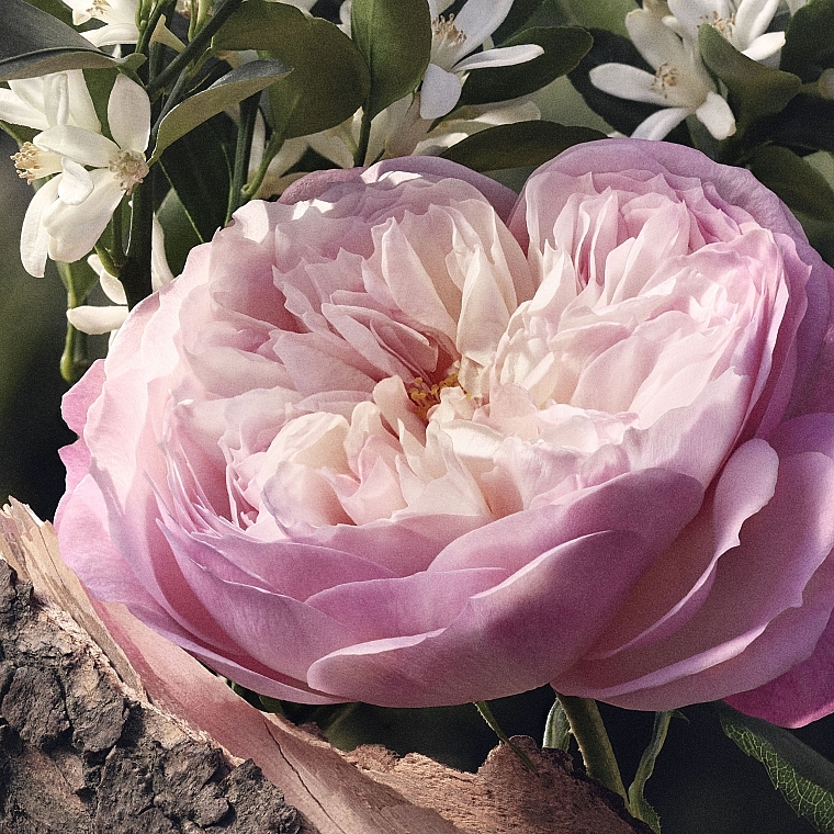 Chloé Rose Naturelle Refill - Woda perfumowana (uzupełnienie) — Zdjęcie N6
