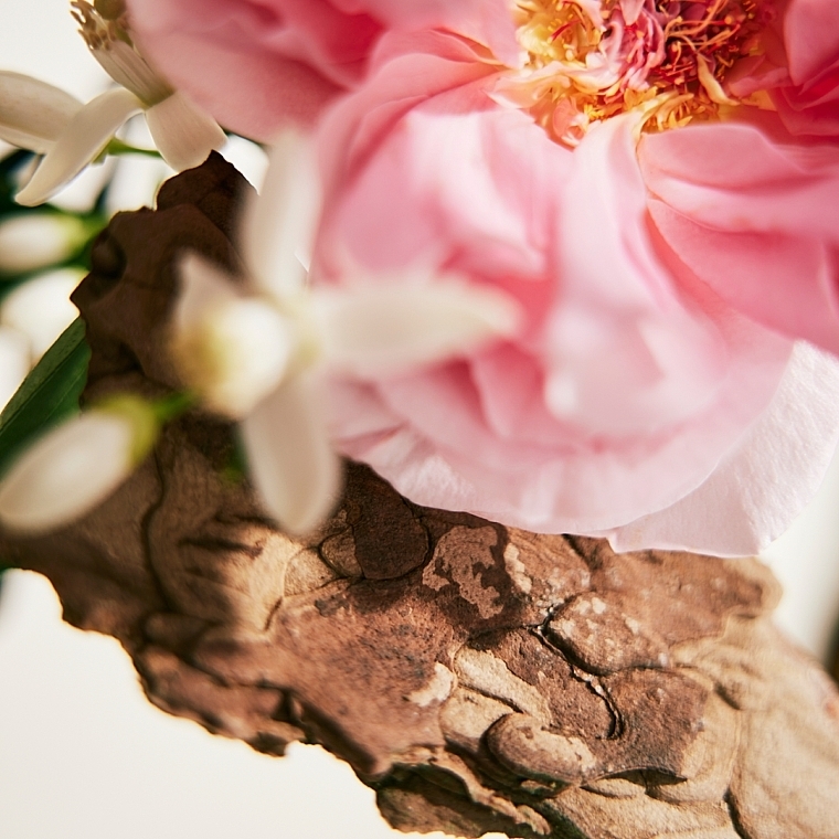 Chloé Rose Naturelle - Woda perfumowana — Zdjęcie N8