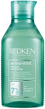 Kup Odświeżający szampon do przetłuszczającej się skóry głowy - Redken Amino Mint Shampoo