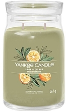 Świeca zapachowa w słoiku Sage & Citrus, 2 knoty - Yankee Candle Singnature  — Zdjęcie N1